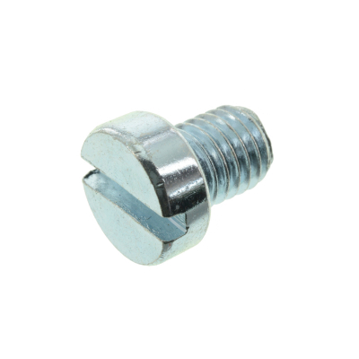 VPE 10L Zylinderschraube M10x12-4.8-A4K (DIN 84)