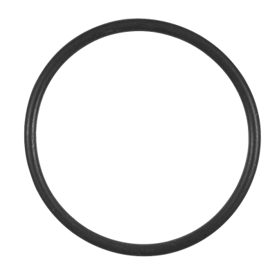 O-Ring für ZT Dichtkappe 2022