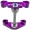 CNC Gabelbrücke "Limited Edition" Violett Racing ultraleichte Version GEN2 passend für Simson S50 S51 S70