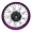 2,15 x 16" Speichenrad f. Trommelbremse, Alufelge Violett, Nabe Schwarz, Edelstahlspeichen verstärkt Schwarz