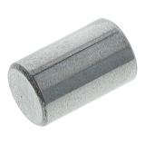 VPE 10L Zylinderrolle 5 x 8  (DIN 5402)