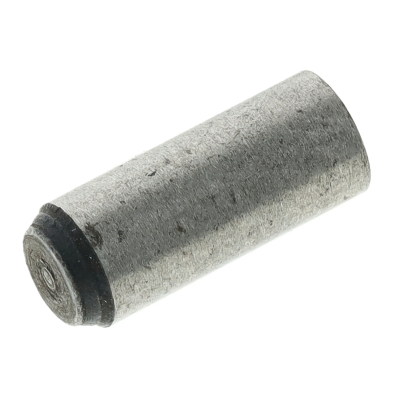 VPE 10L Zylinderstift 4x10-St (DIN 7)