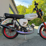 ZT Rennauspuff Titan Violett 2021 Straßenverlegung (70-100ccm)