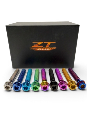 ZT Titan Schraubenset für Motor Seitendeckel M500 (10Stk.)