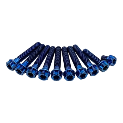 ZT Titan Schraubenset für Motor Seitendeckel M500 (10Stk.) Blau