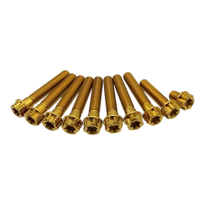 ZT Titan Schraubenset für Motor Seitendeckel M500 (10Stk.) Gold