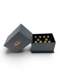 ZT Titan Schraubenset für Motor Seitendeckel M500 (10Stk.) Gold