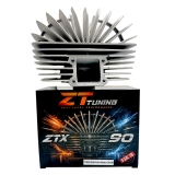 ZTX 90 Stage1 Membran Zylinderkit LB55 Silber