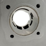 ZTX 90 Stage1 Membran Zylinderkit LB55 Silber