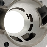 ZTX 90 Stage1 Membran Zylinderkit LB55 Silber